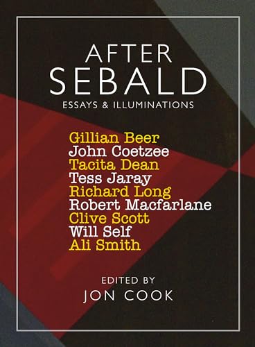 9780957152861: After Sebald: Essays and Illuminations
