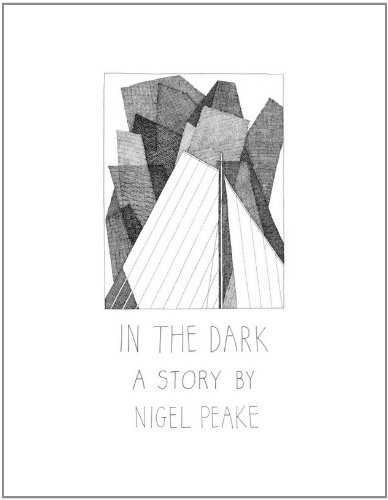 9780957213746: In the Dark - a Story by Nigel Peake