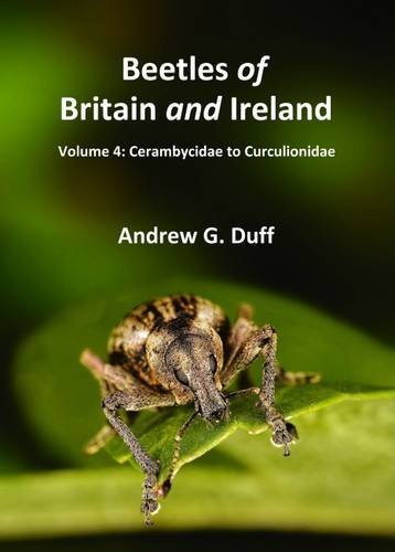Stock image for Beetles of Britain and Ireland: Cerambycidae to Curculionidae Volume 4 for sale by RWL GROUP  (Booksellers)
