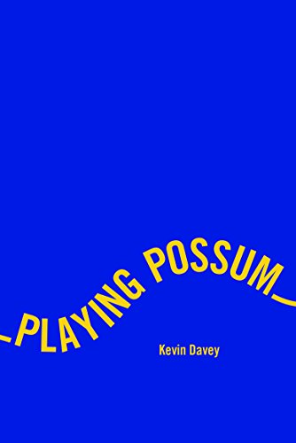 Imagen de archivo de Playing Possum a la venta por WorldofBooks