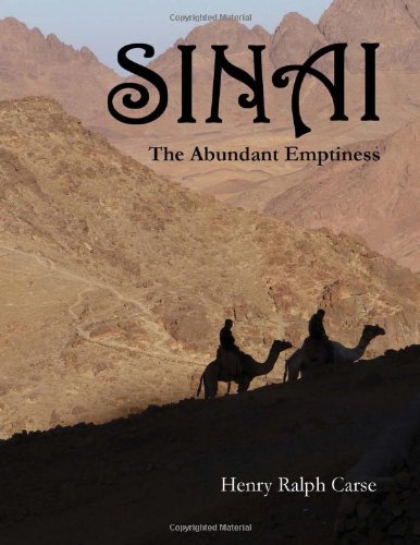 Imagen de archivo de Sinai: The Abundant Emptiness a la venta por Alplaus Books