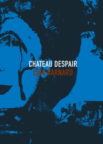 9780957427204: Chateau Despair