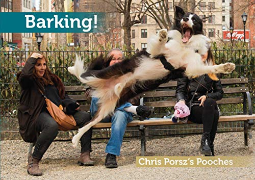 Stock image for Barking! A dog book with a twist. for sale by AwesomeBooks