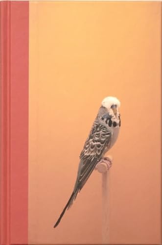 Imagen de archivo de An Incomplete Dictionary of Show Birds a la venta por PBShop.store US