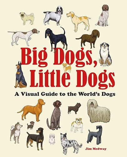 Stock image for Big Dogs, Little Dogs: A Visual Guide to the Worldâ   s Dogs (Big & Little) for sale by WorldofBooks