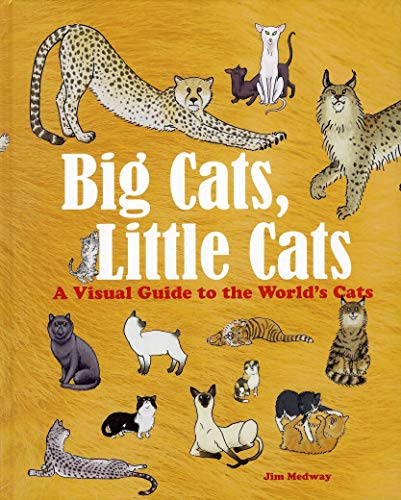 Stock image for Big Cats, Little Cats: A Visual Guide to the World  s Cats (Big & Little) for sale by WorldofBooks