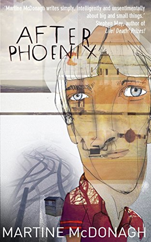 9780957503731: After Phoenix: The absurdity of family life can conquer all