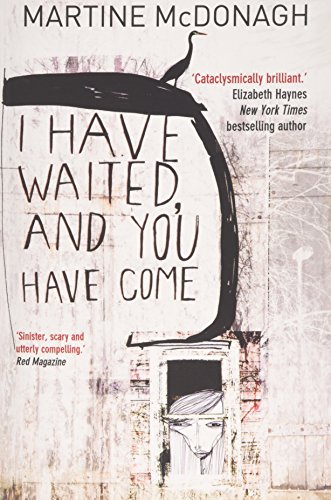 9780957503755: I Have Waited, and You Have Come: A Story of Obsession and Survival