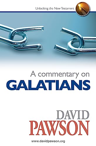 9780957529052: A Commentary on Galatians