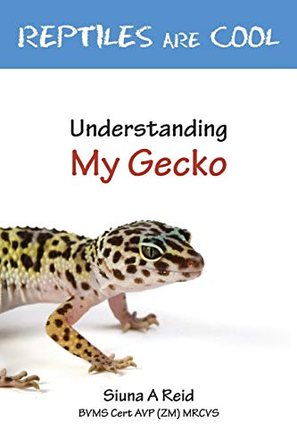 Imagen de archivo de Reptiles Are Cool- Understanding My Gecko a la venta por AwesomeBooks