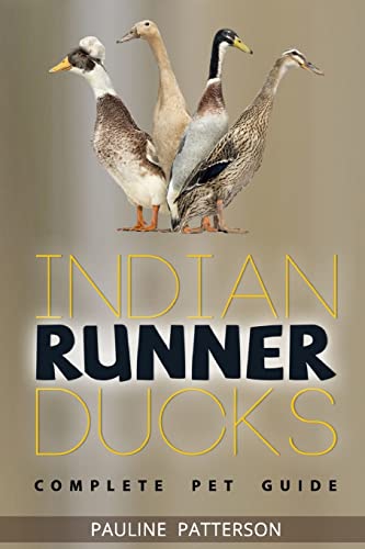 Beispielbild fr Indian Runner Ducks: The Complete Owners Guide zum Verkauf von AwesomeBooks