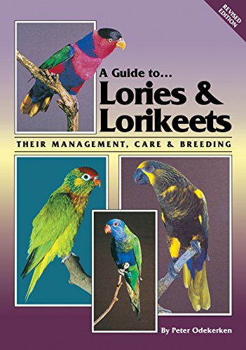 Imagen de archivo de A Guide to Lories and Lorikeets Their Management, Care and Breeding a la venta por PBShop.store UK