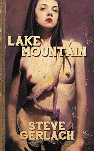 Stock image for Lake Mountain for sale by Lucky's Textbooks