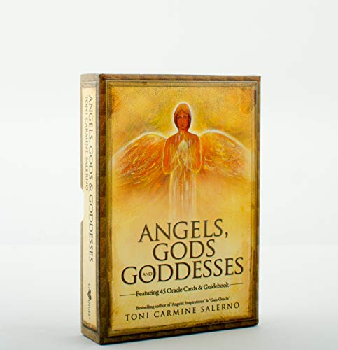 Imagen de archivo de Angels Gods & Goddesses a la venta por St Vincent de Paul of Lane County