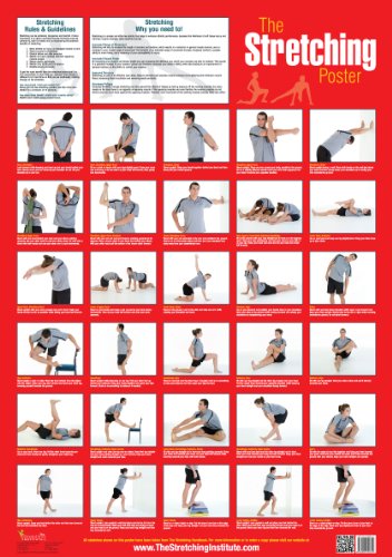 9780958109314: The Stretching Poster