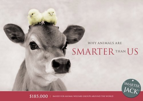 Stock image for Why Animals Are Smarter Than Us for sale by Book Express (NZ)