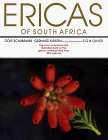 ERICAS OF SOUTH AFRICA.