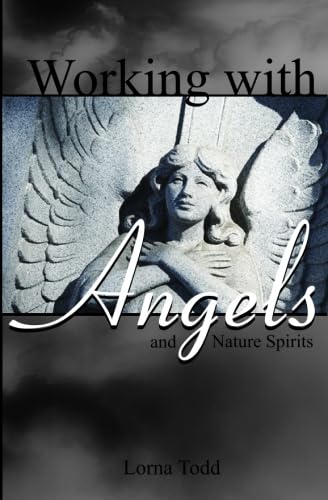 Stock image for Working with Angels and Nature Spirits for sale by WorldofBooks