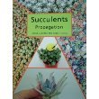 9780958516761: Succulents - Propagation