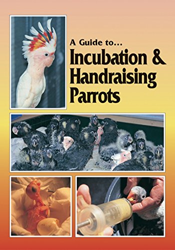 Beispielbild fr A Guide to Incubation & Handraising Parrots zum Verkauf von Kona Bay Books