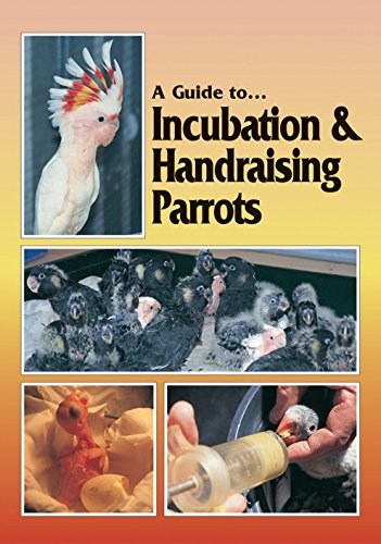 Imagen de archivo de A Guide to Incubation & Handraising Parrots a la venta por Kona Bay Books