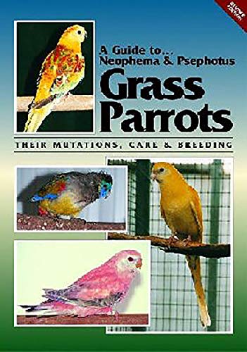 Beispielbild fr A Guide to Neophemas &amp; Psephotus Grass Parrots zum Verkauf von Blackwell's