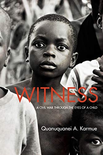 Stock image for Witness: A Civil War Through the Eyes of a Child for sale by Books of the Smoky Mountains