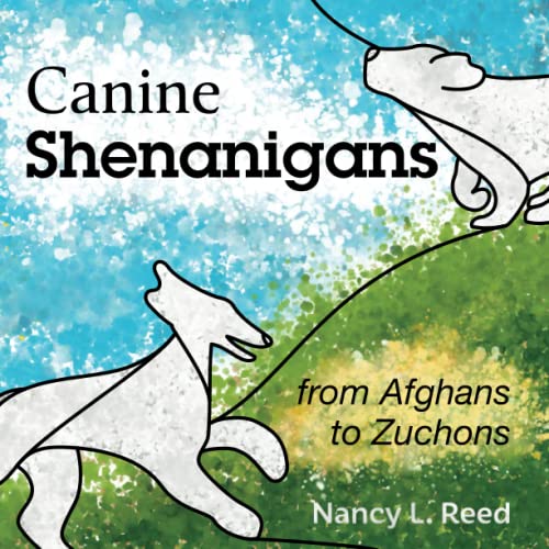 Imagen de archivo de Canine Shenanigans: from Afghans to Zuchons a la venta por Lucky's Textbooks