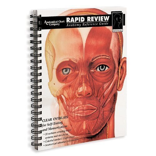 Stock image for Rapid Review : Anatomy Reference Guide for sale by PAPER CAVALIER US