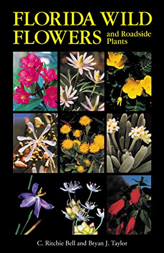 9780960868834: Florida Wild Flowers and Roadside Plants