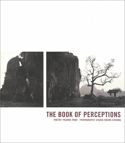 Stock image for The Book of Perceptions for sale by ThriftBooks-Atlanta