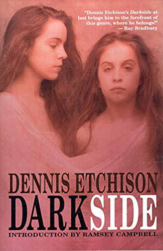 Imagen de archivo de Darkside a la venta por Aladdin Books