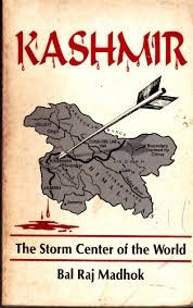 Stock image for Kashmir: The storm center of the world for sale by Mispah books