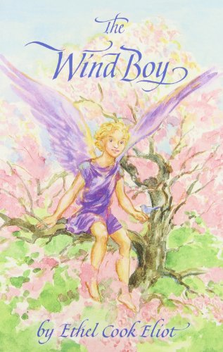 9780961596149: The Wind Boy