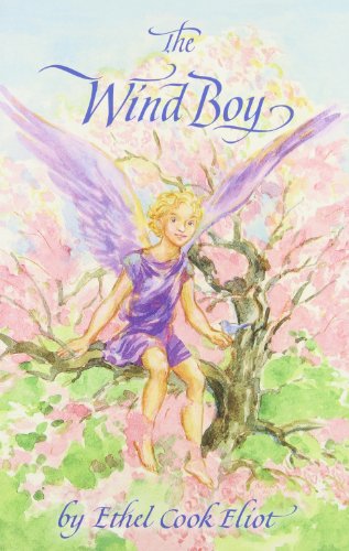 Stock image for The Wind Boy for sale by ZBK Books