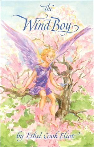 9780961596156: The Wind Boy