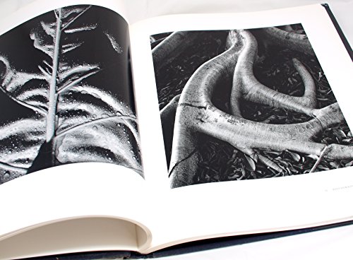 Beispielbild fr Brett Weston, a Personal Selection zum Verkauf von GF Books, Inc.