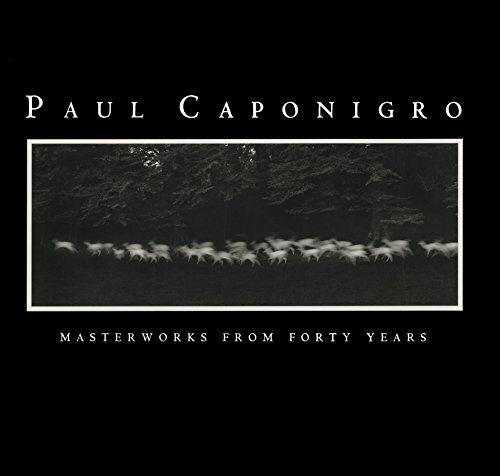 Beispielbild fr Paul Caponigro: Masterworks from Forty Years zum Verkauf von The Happy Book Stack