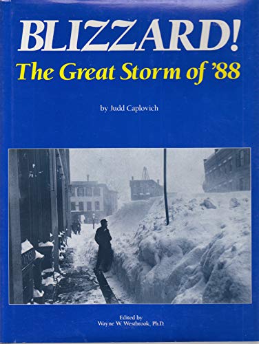 Stock image for Blizzard: The Great Storm of 88 for sale by Village Booksmith