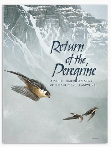 Stock image for Return of the Peregrine for sale by Idaho Youth Ranch Books