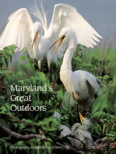 Stock image for Maryland's Great Outdoors for sale by Paper Garden Books