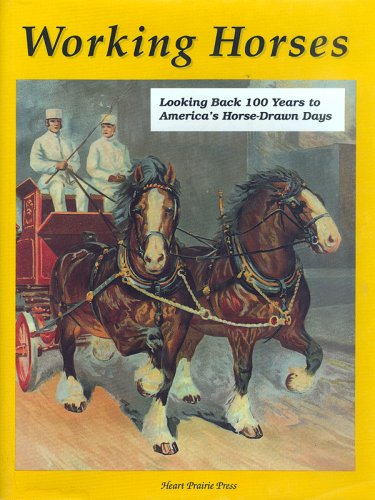 Stock image for Working Horses : Looking Back One Hundred Years to America's Horse-Drawn Days for sale by Better World Books