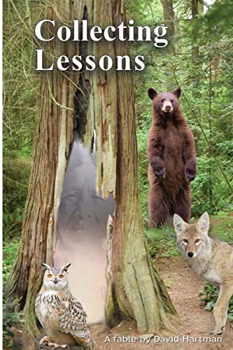 Stock image for Collecting Lessons: A Fable for sale by SecondSale