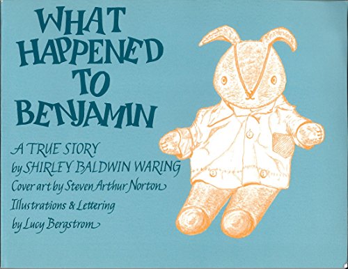 Imagen de archivo de What Happened to Benjamin: A True Story a la venta por Gene The Book Peddler