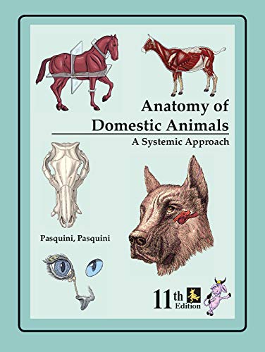 9780962311420: An Anatomy of Domestic Animals: A Systematic and Regional Approach