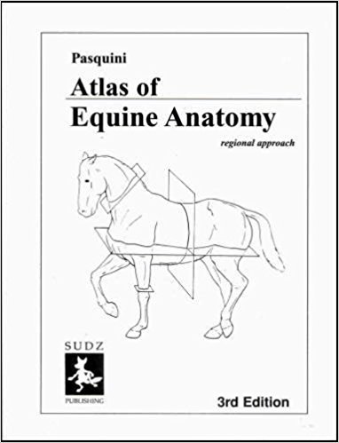 Stock image for Atlas of Equine Anatomy for sale by thebookforest.com