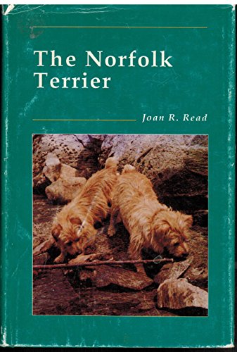 The Norfolk Terrier