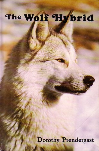 The Wolf Hybrid