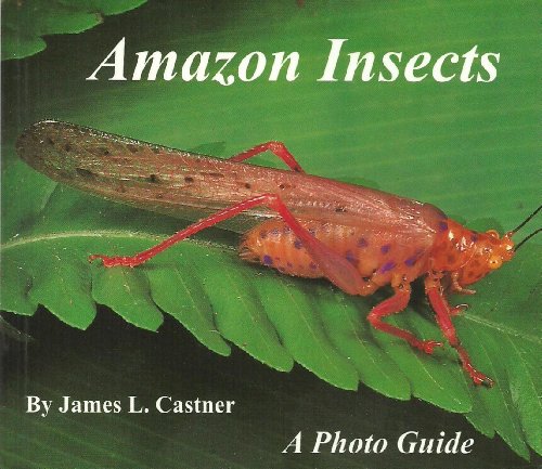 Imagen de archivo de Amazon Insects - A Photo Guide a la venta por Wonder Book