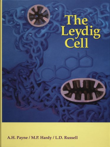 Stock image for Leydig Cell for sale by Solr Books
